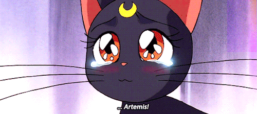 silvercrystal:         “I will always be here for you.”