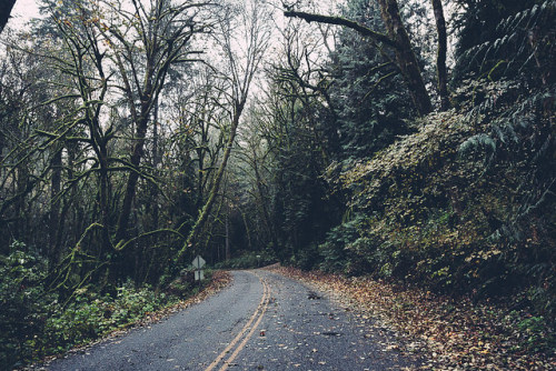 St Helens Camping by Danielle Bednarczyk on Flickr.