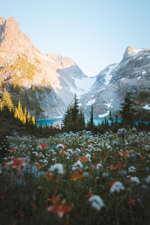 Porn Pics banshy:Alpine Lakes Wilderness by Nathaniel