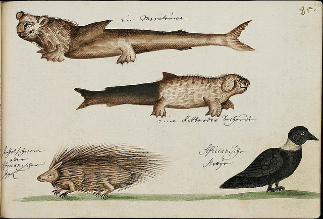 design-is-fine:  The Batavia Journal, 1669 - 1682. These illustrations come from