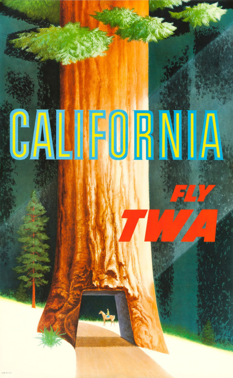 The famous Wawona Tunnel Tree, which fell in 1969, graces David Klein’s poster for TWA. 1950s.