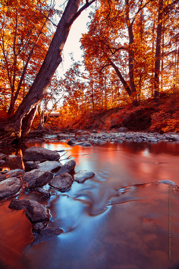 sublim-ature:  Flowing into Autumn (by Dustin Abbott) (Edited)   19/12/13