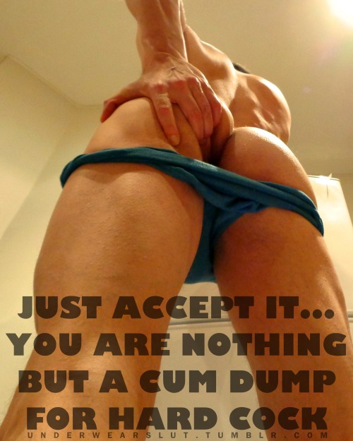 properfaggot:  pussyboybreeder:  REBLOG if you ion I am talking to you  SIR, yes, SIR!!!  Yes sir dump your cum loads in me