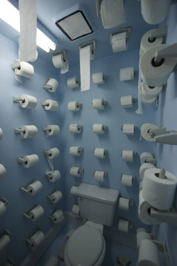 wishcot: durational:  all this toilet paper