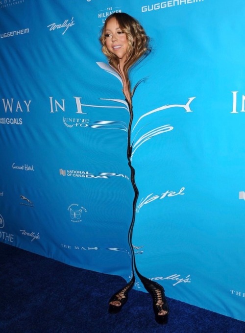 theterriblecanyonsofstatic:gothraccoon:holybooks:figseachhoot:c-bassmeow:Mariah Carey you look amazi