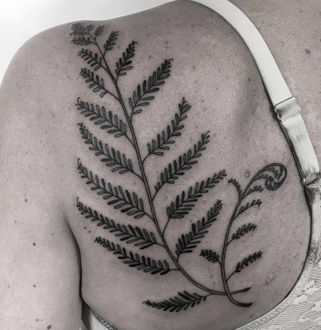 30 Best Fern Tattoo Design Ideas What Is Your Favorite  Saved Tattoo