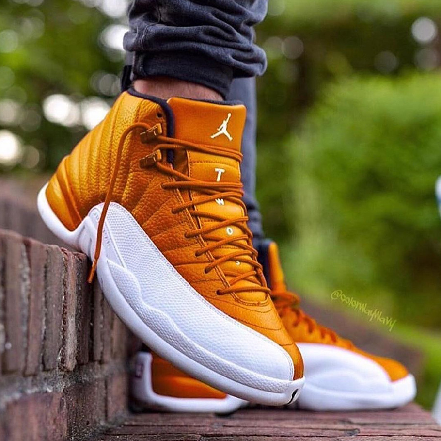 Custom Jordan 12 