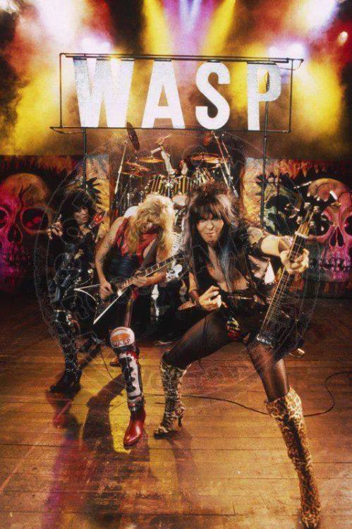  “They say that W.A.S.P. are a parent’s worst nightmare.”–Blackie Lawless