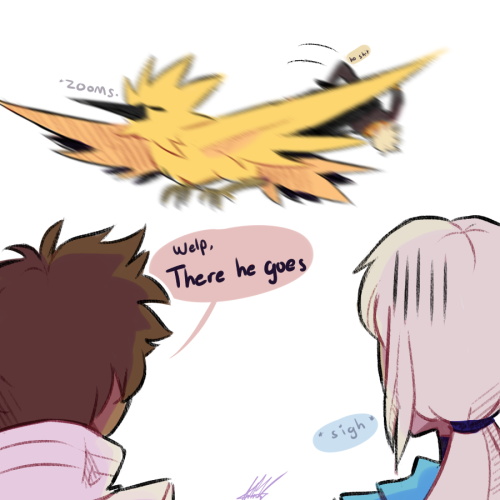 trash-cass:  Rip he lived a good lifedont worry Zapdos would catch him