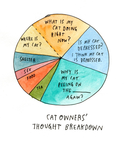 ilovecharts:it wouldn’t be valentines day if we didn’t share something about cat-love. (by wendy mac