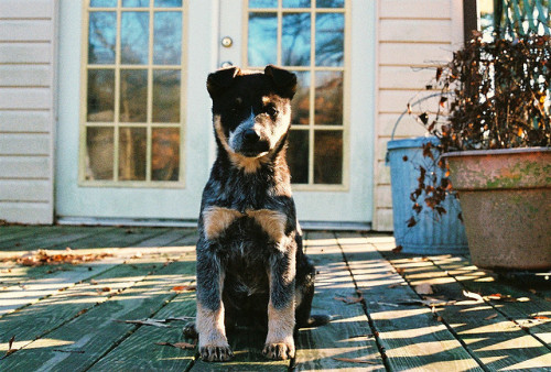 lostnaked:  Adeline. by Ashley Michele. on Flickr. 