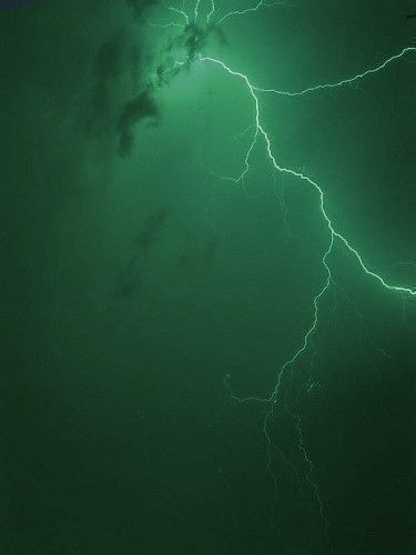 Green Aesthetics