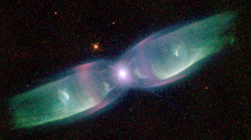 anightintheforest:  infinity-imagined:  A collection of planetary nebulae; clouds of ionized gas that form as red giant stars die and cast off their outer layers.  This process enriches interstellar space with heavy elements that go on to form new stars