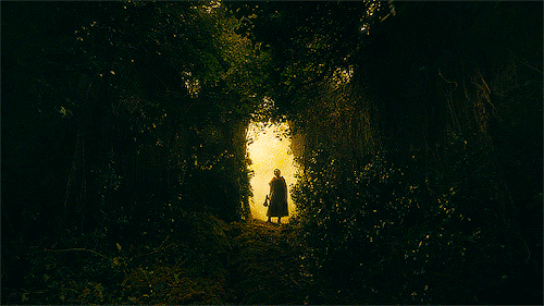 animusrox:Oh greatest of Kings, let one of your Knights try to land a blow against me. Indulge me in this game. The Green Knight (2021) dir. David Lowery  