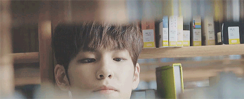 httpsung:  The most precious bean in the school