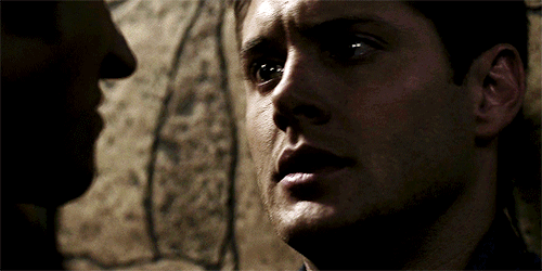 jaredlovesjensenbiteme:whiskeycherrypie:wincest shippers please insert your own contextIt looks like