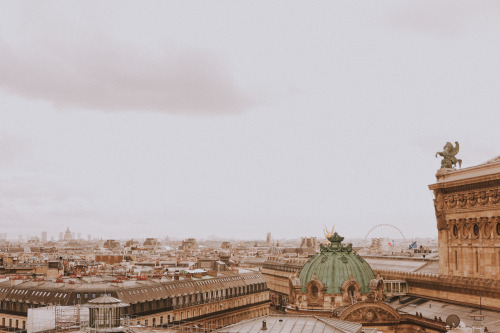 fotographygirl: Paris, France