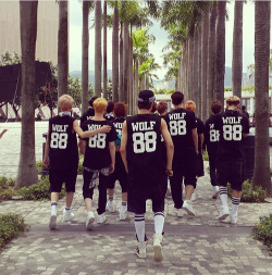 exo-vibes:  WOLF 88 ^^ LOVE IT on We Heart
