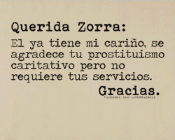 nevergrowupandbeyourself:  querida zorra..