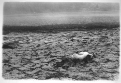 flashofgod:  Francesca Woodman, Untitled,