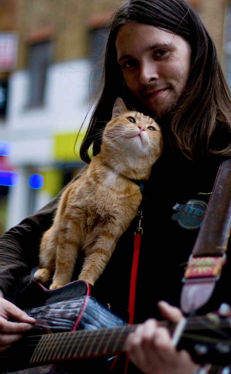nubbsgalore:  after an apparent attack by a fox, a street cat named bob was found injured and curled up in the hallway outside of a support housing flat in tottenham were james bowen, a recovering heroin addict and homeless busker, was staying.  james