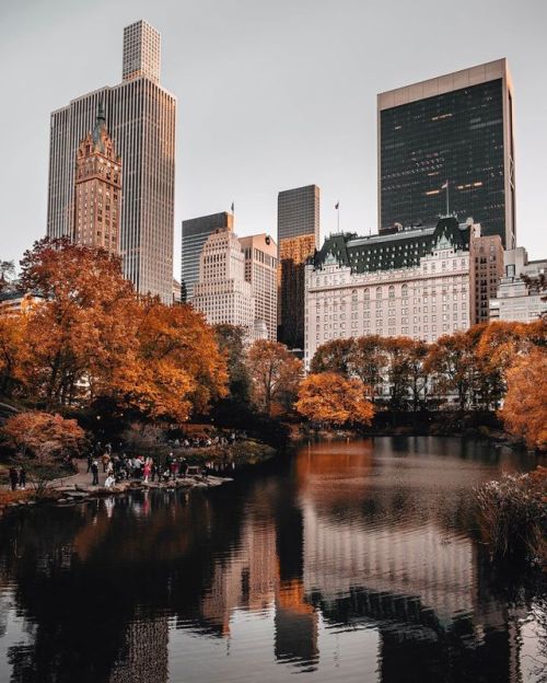 Central Park | joethommas