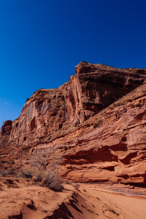 Towering Cliffs in Horseshoe Canyon, Canyonlands National ParkThis trail starts from the canyon rim,