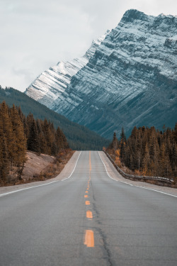 lvndscpe:  Roadtrip | by Mark Basarab