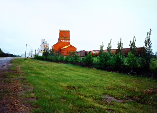 Grain Elevators, Le Roy, Saskatchewan, Summer 1989.