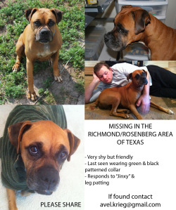 i-choose-fit:  bffspellsbeef:  bffspellsbeef:  bffspellsbeef:  GUYS I NEED HELP!!! My dog went missing last night in the richmond/rosenberg area of texas. She somehow got off her leash and slipper under the gate. My neighbour saw her running around last