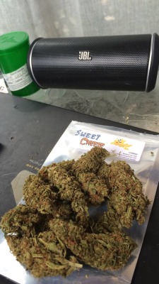 notoriouskush420:  Sweet cheese. Hybrid Sativa