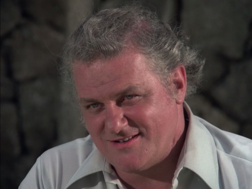 Hawaii Five-O (TV Series) - S8/E9 ’Retire in Sunny Hawaii… Forever’ (1975)Charles Durning as 