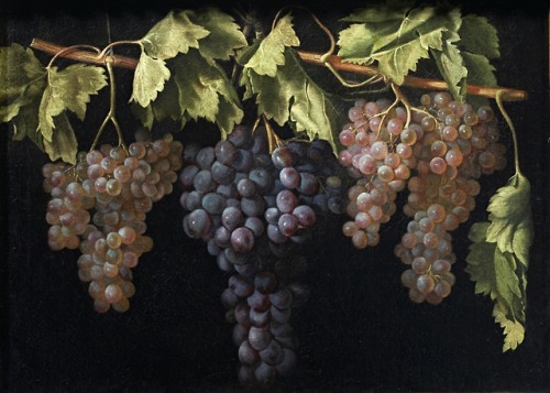 flyse:Still Life with Four Bunches of Grapes, Juan “El Labrador” Fernández (Spanish, 1629–1657), ca.