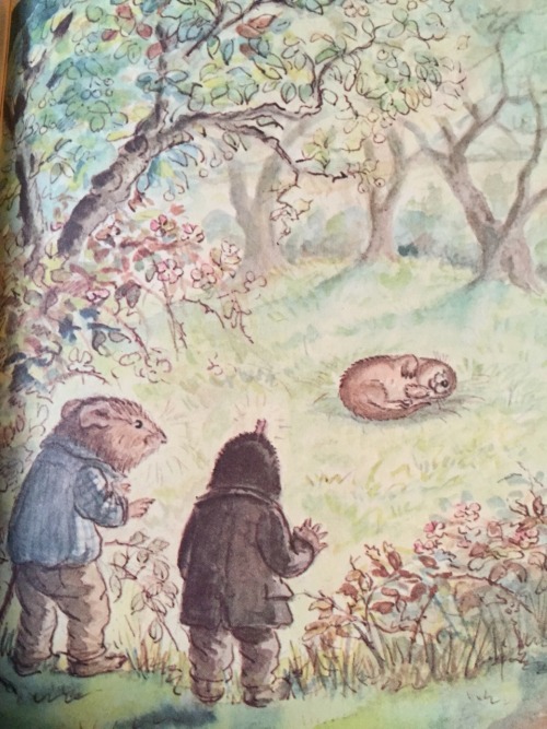 The Wind in the Willows by Kenneth Grahame and lovely illustrations by Tasha Tudor