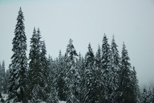 panamint: snoqualmie from the passenger seat