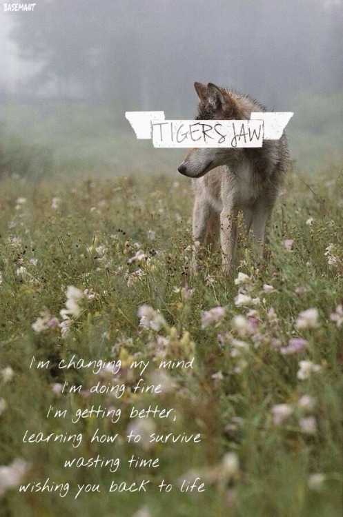 basemant:  Meet at the Corner // Tigers Jaw I like this a lot.