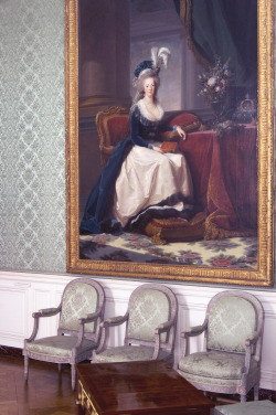 Portrait Of Marie Antoinette - Versailles