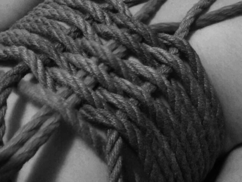 red-tied:  She always purrs when I pull a new line through her… 