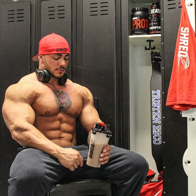 drwannabe:Tristen Escolastico