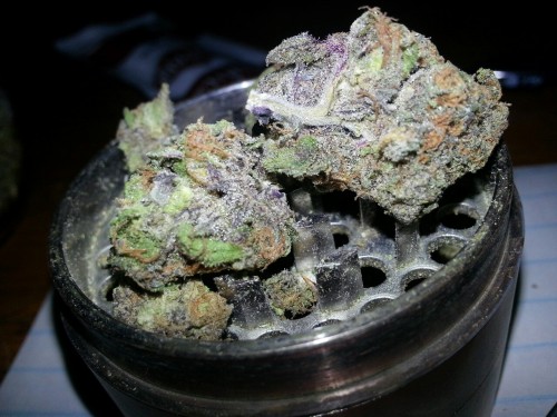 weedsmokr:sparkling purps
