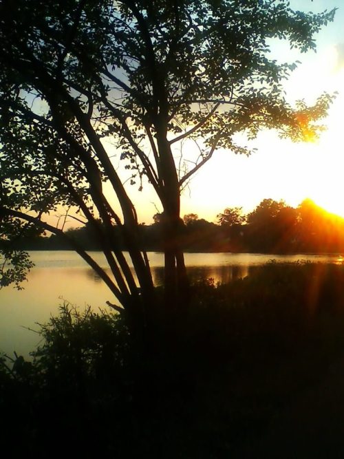 changingglater:  Photographs taken at a lake in Oaklyn, New Jersey.  Model: Chelsea Francis Rettberg (my sister)