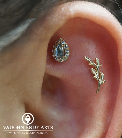 A gorgeous pair of piercings our apprentice Shay got to do for Elizabeth. Elizabeth had exceptional 