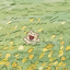 joy-and-whimsy-official