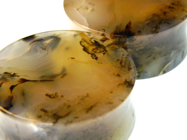 A little teaser of these 1-¾" (44mm) Madagascar Dendritic Agate plugs. These are so wonderful! A mix of translucent agate with layers of banding, dendritic inclusions, sagenite and matching druzy pockets on the faces!!!! So much depth it is...