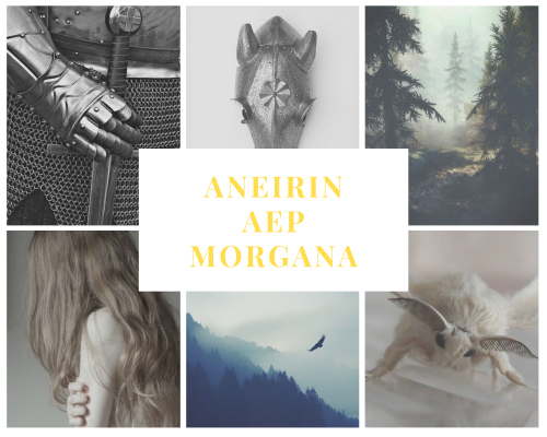 aneirin aep morgana