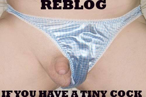 laceyisownedbymistresspiper:  jenni-fairy:  Captions for sissy faggots  Yes, I have a little clitty 