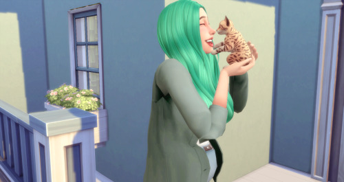 Mintie adopted a new kitten named Duchess. She is just as mischievous as her new owner. With the new