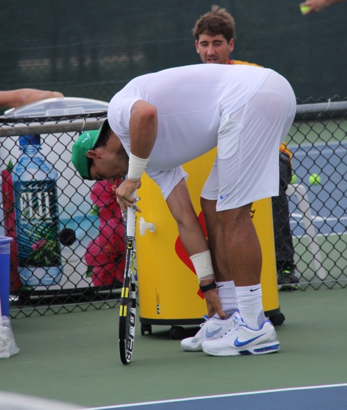 celebundiedrawer:  Rafael Nadal’s see through white shorts have done so much for the world :’)