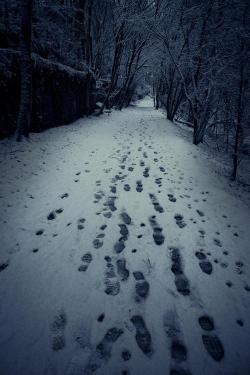 motivatedowl:  Foot steps in the ice cold