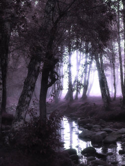 morbid-dream:  ✦edit 